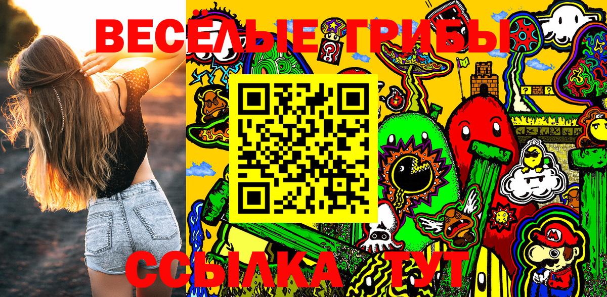 Галлюциногенные грибы GOLDEN TEACHER Надым